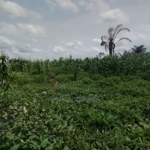 A Plot of Land for Sale