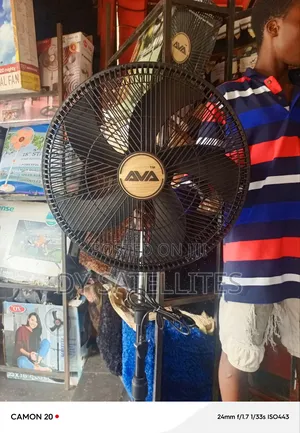Standing Fan