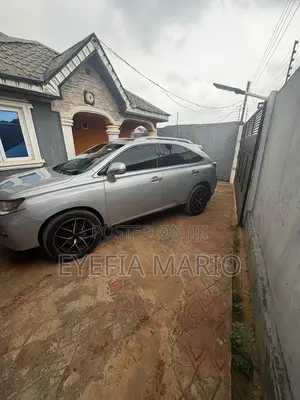 Lexus RX 2010 Gray