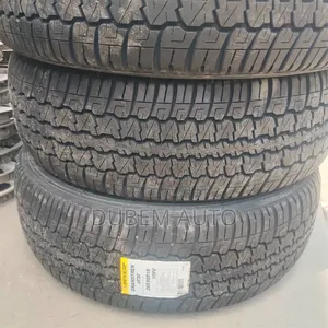 265/55r19 Dunlop Tire