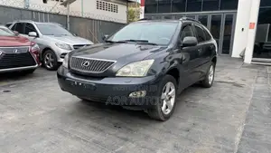 Lexus RX 330 4WD 2005 Gray