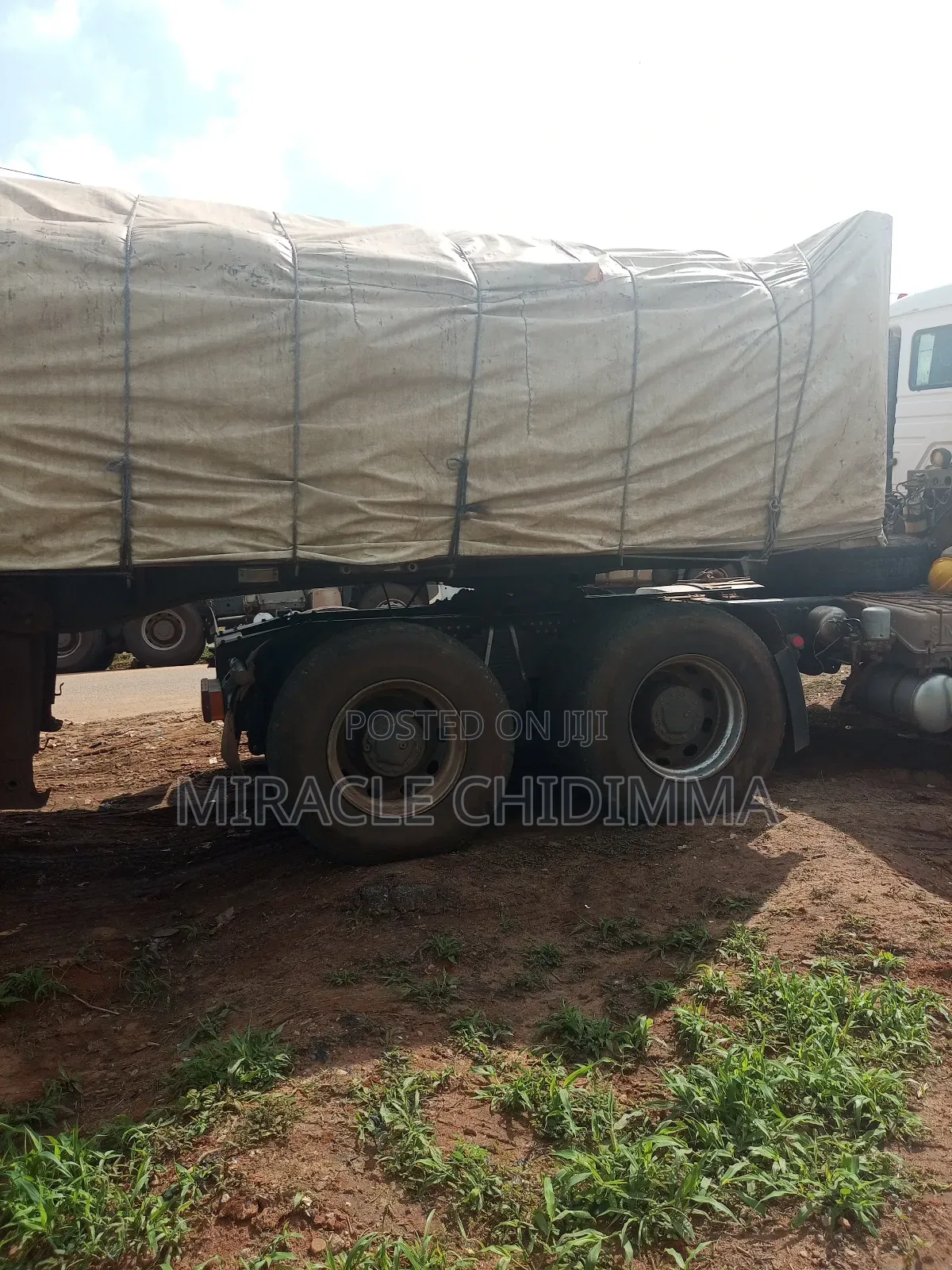 Best Dangote Cement Supply