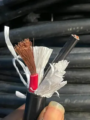 16mm 2 Core Shielded Solar Screen Cable (High Quality)