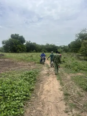 2000 Acres of Land Comes With C of O in Ibadan at Cheaper Price
