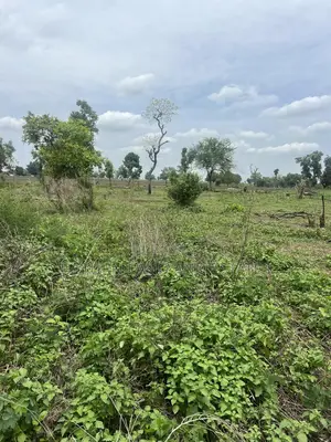2000 Acres of Land Comes With C of O in Ibadan at Cheaper Price