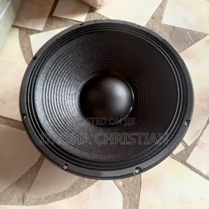 15" Super Sound Speaker With 100mm Coil