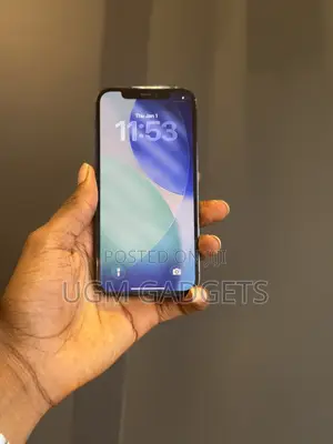 Apple iPhone 12 Pro 256 GB Blue