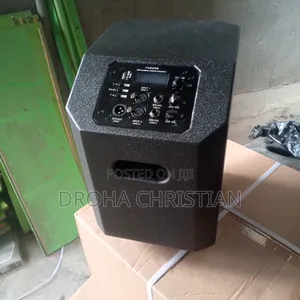 Powerful All in 1 Portable Rechargeable Pa System