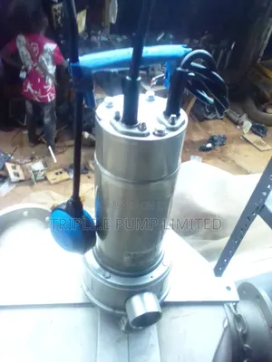 Ebra Stainless Sewage Pump