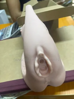 Femal Organ