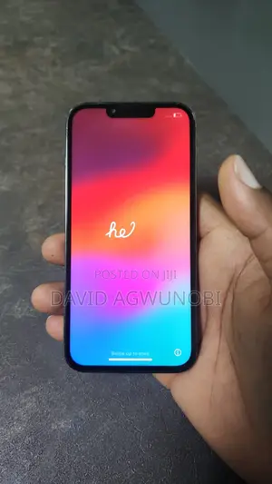 Apple iPhone 13 Pro 256 GB Gray