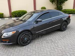 Volkswagen Passat 2010 Brown