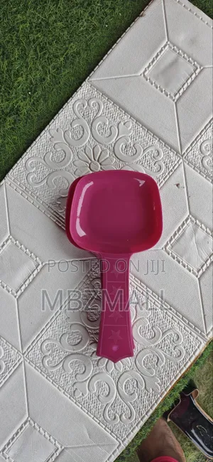 Scoop Strainer