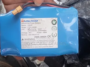 Original Hoverboard Battery (Lithium-on)