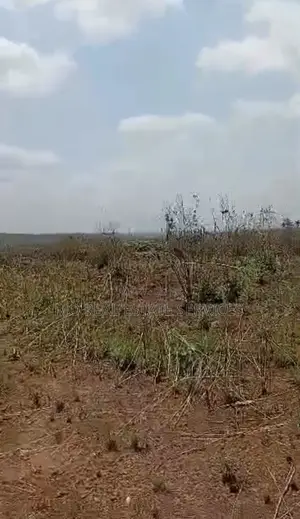 100 Acres of Land for Sale at Igbein Village Around Mosunmore , Kobape
