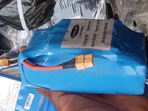 Hoverboard Lithium-Ion Replacement Battery (With Long Lasting Life)