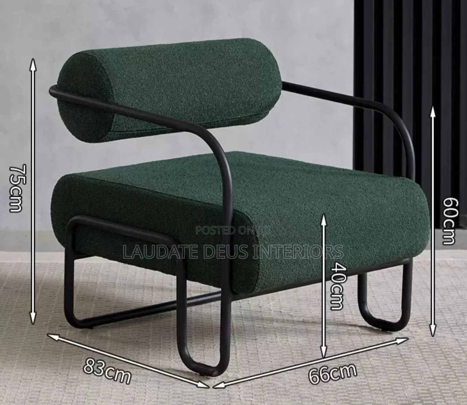 Exquisite Contemporary Accent Chair