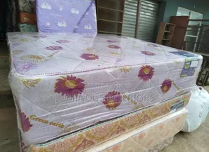 The Greenearth Mattress 6 by 6 (18 Inches)