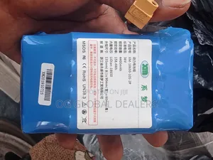 Hoverboard/Scooter Replacement Lithium-Ion Battery Pack,