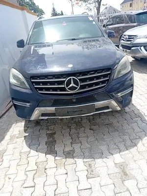 Mercedes-Benz M Class 2014 Blue