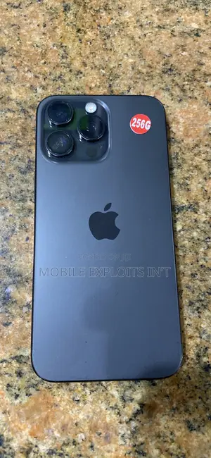 Apple iPhone 15 Pro Max 256 GB Gray