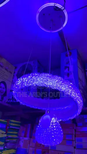 Single Dropping Pendant Light