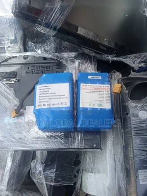 Lithium-Ion Rechargeable Battery Pack for Hoverboard, Scooter Battery