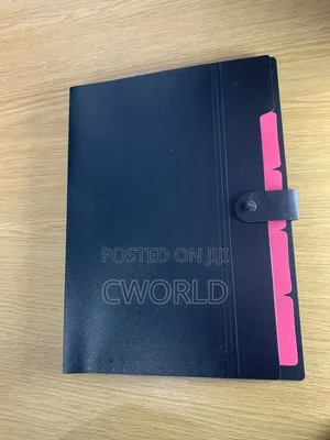 Black File Folder With Pink Tabs