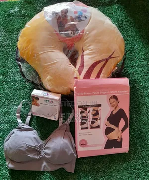 Pregnancy and Nursing Combo