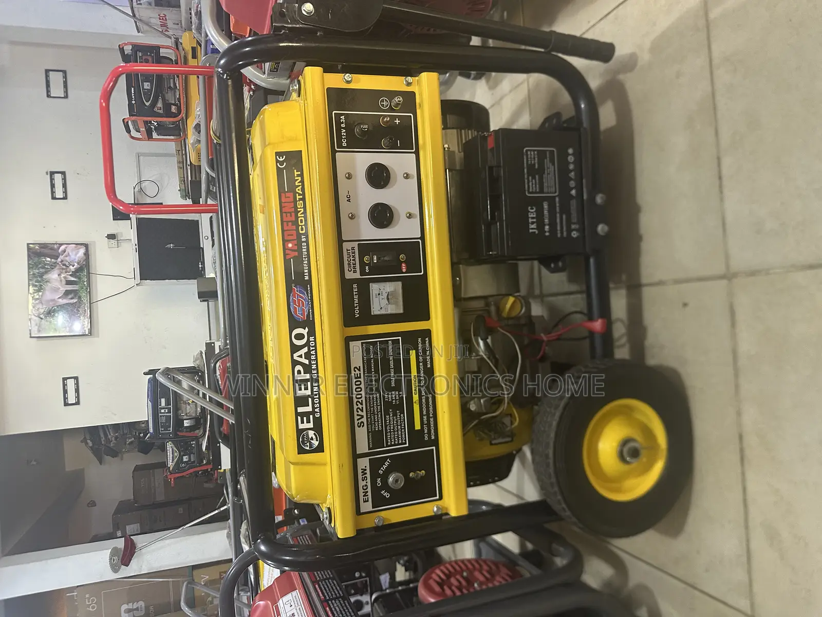 Constant Elepaq Generator 10kva