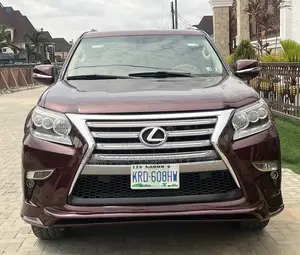 Lexus GX 460 2010 Brown