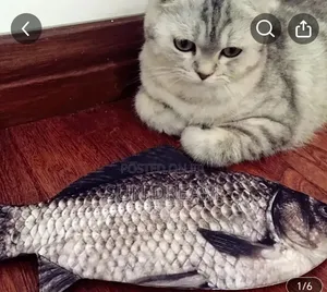 Baby Singing Toys Kids Toys Cat Toy Jumping Fish