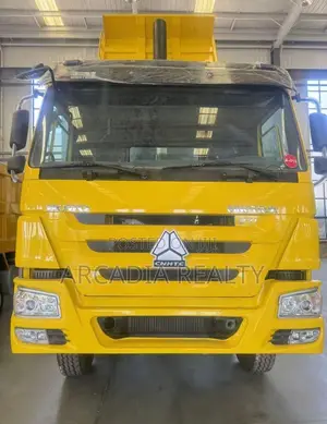 Brand New Regular Face 2019 Model 30 Ton Howo Dump Truck