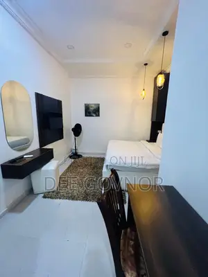 Furnished Mini Flat in Ikate for rent