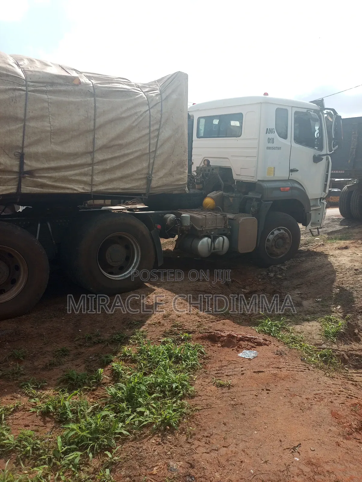 Best Bua Cement Sell