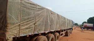 Distributor of Both Dangote and Boa Cement
