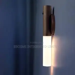 Inteligent Induction Light
