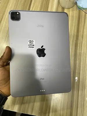 Apple iPad Pro 11 (2021) 256 GB Gray