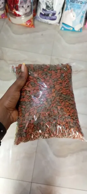 Cats Food Available