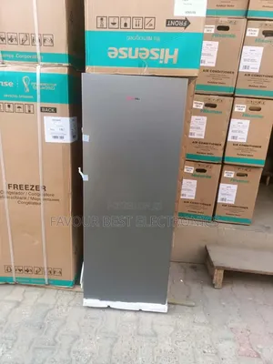 New Hisense Upright Standing Freezer 190l for Ice Block Business