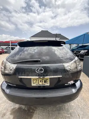 Lexus RX 2008 Gray