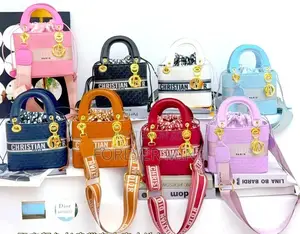 Designer Inspired Bucket Bag Mini Lady Box Bag With Wide Strap