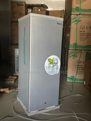 Ice Block Upright Freezer Bona