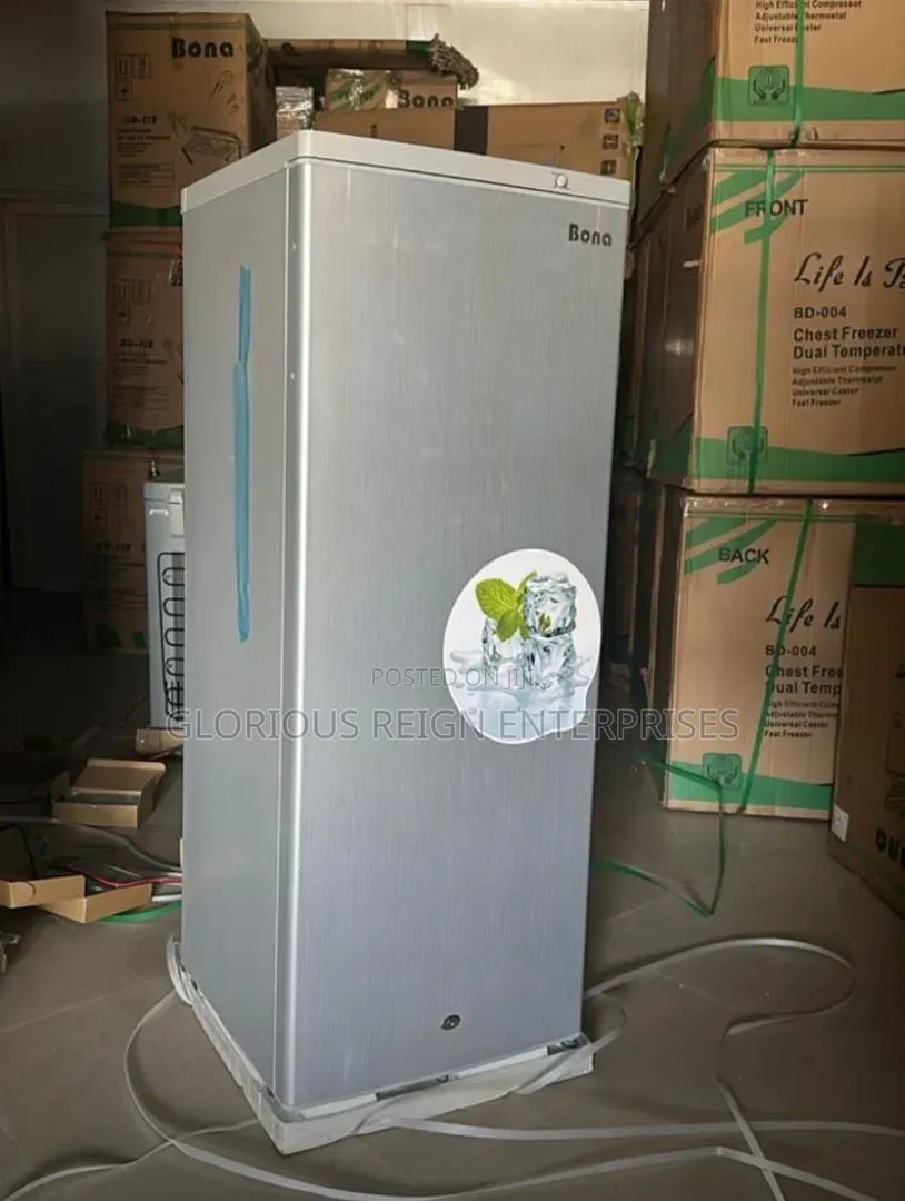 Ice Block Upright Freezer Bona