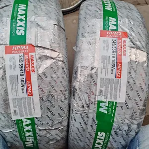 245/55r19 Maxxis Tire