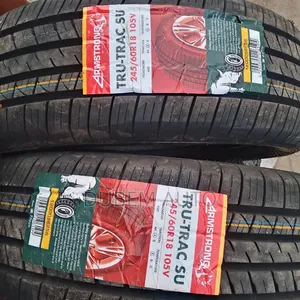 245/60r18 Armstrong Tire