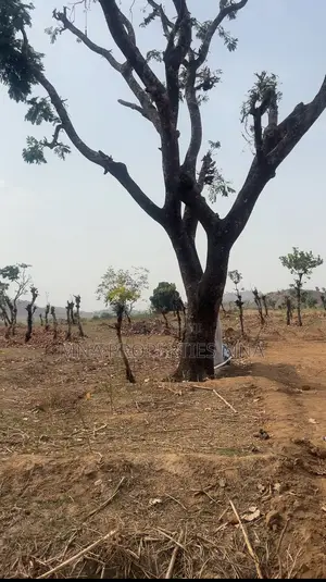 Solar City Apo Burum