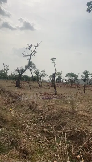 Solar City Apo Burum