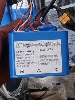Teamgiant Li-Ion Battery Pack ( Lithium-Ion Battery for Hoverboard)