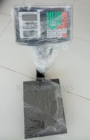 Electronic Scale